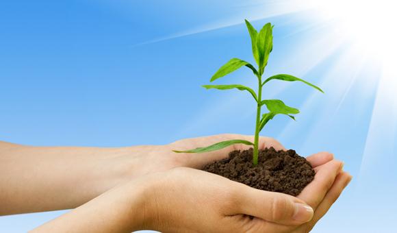 ky体育官网入口EDX光谱仪在环境标准HJ 780 -2015——《土壤和沉积物 无机元素的测量波长色散X射线荧光光谱法》上的应用方案