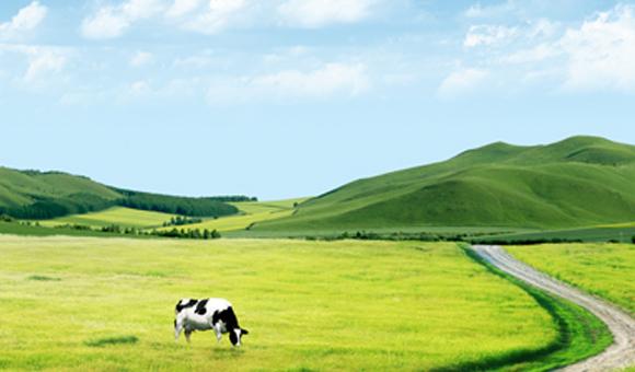 ky体育官网入口ICP3000在土壤监测中的应用解决方案