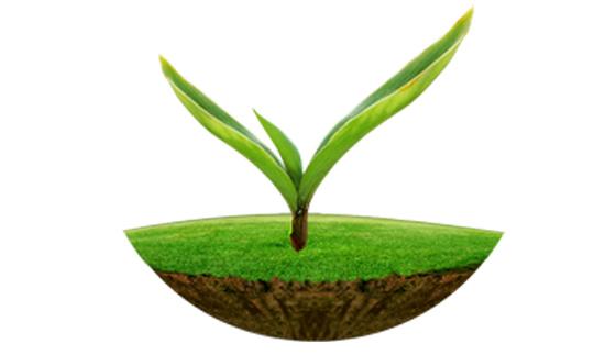 ky体育官网入口原子吸收及原子荧光在土壤监测中的应用解决方案